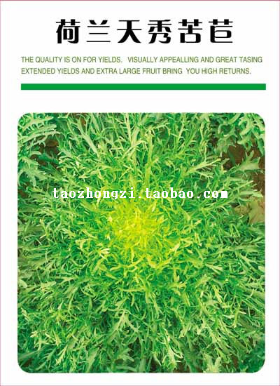 寿光蔬菜种子荷兰天秀苦苣田园苦菊农家四季蔬菜种籽盆栽春秋季在类目 农用物资, 种子/种苗, 蔬菜种子中 - 来自Buy2taobao.com提供专业的淘宝代购服务