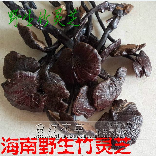 包邮纯正野生竹灵芝 海南灵芝 五指山野生竹灵芝 正品 100克|msdalam kategori makanan berkhasiat tradisional, Ganoderma, Pemangkasan Ganoderma lucidum - dari Buy2taobao.com untuk memberikan perkhidmatan ejen Taobao profesional membeli