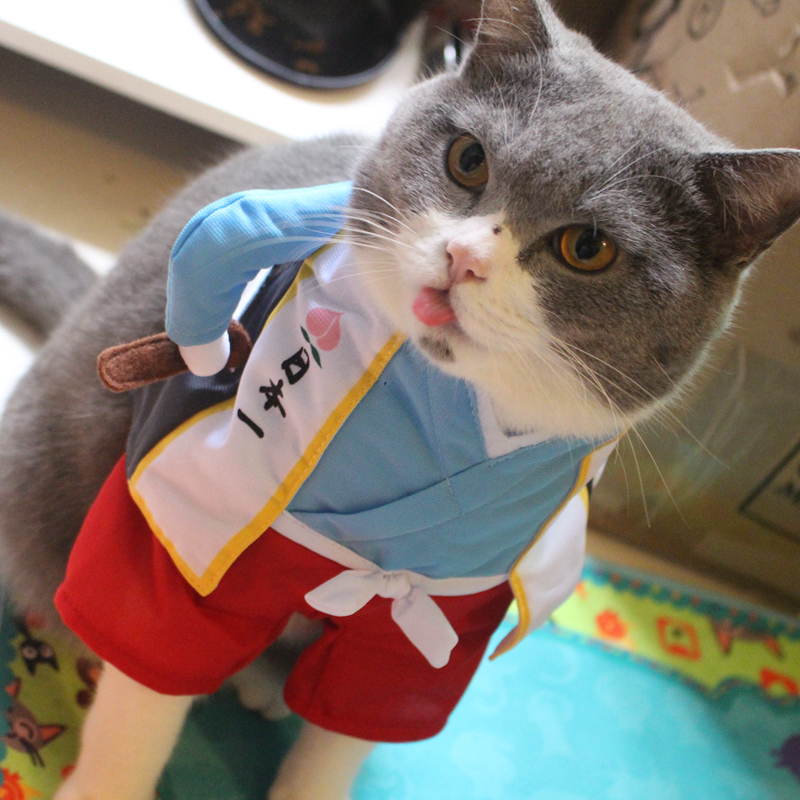桃太郎猫咪直立装宠物衣服犬猫搞笑变身装加菲布偶猫搞怪服在类目 宠物/宠物食品及用品, 宠物服饰及配件, 宠物服装/雨衣中 - 来自Buy2taobao.com提供专业的淘宝代购服务