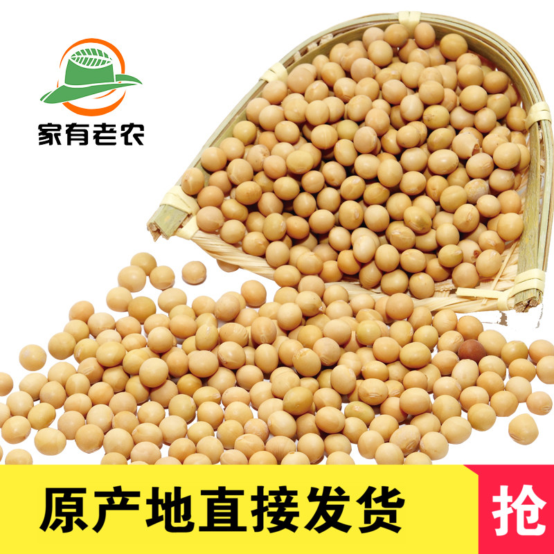 2件包邮新粮自种黄豆400g农家黄豆发豆芽打豆浆专用农家自产 大豆|ruв категории зерно риса/север и Юг сухих грузов/приправы, метров/муки/зерновые, фасоль, соя - от Buy2taobao.com для оказания профессиональной услуги покупки агента Taobao