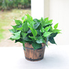 仿真假植物塑料绿植室内外客厅，摆件装饰木桶盆栽绿萝仿真花草造景