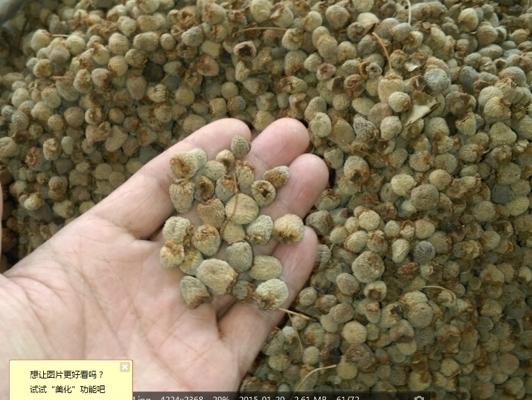 Raspberry Chinese herbal medicines Raspberry Dried Raspberry Dry wild berry Large grainin the Traditional nourishing food , Medicinal and Edible Food , Other Medicinal and Edible Food  category - from Buy2taobao.com to provide professional Taobao agent buy service