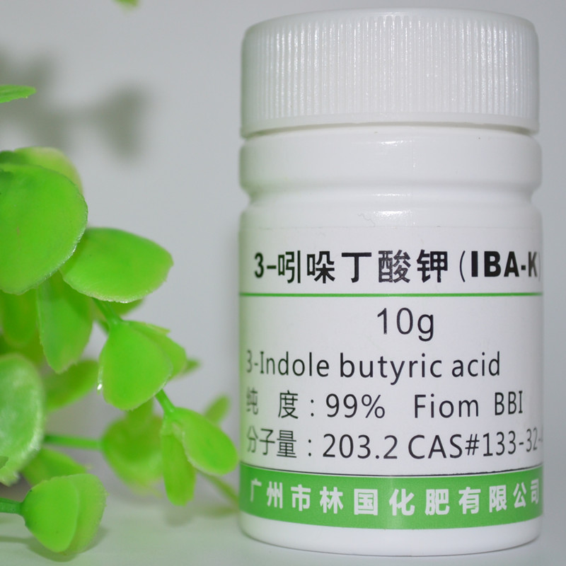 吲哚丁酸钾生根粉盐吲哚丁酸钠IBA-K植物调节出口10克正品特价|ruв категории сельскохозяйственных материалов, удобрения, 叶面肥 - от Buy2taobao.com для оказания профессиональной услуги покупки агента Taobao