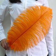 橙色鸵鸟羽毛 婚礼婚庆装饰羽毛桑巴舞狂欢节舞蹈服装DIY饰品配件