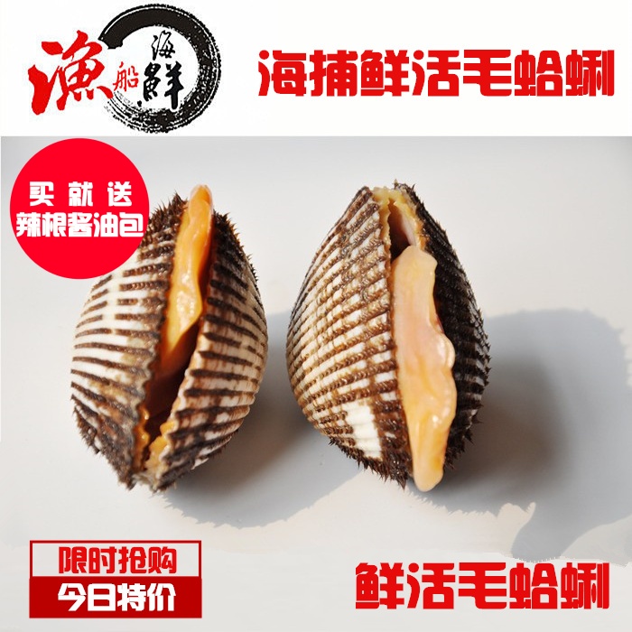 海鲜特价水产鲜活毛蛤蜊新鲜毛蛤蜊赤贝蛤蜊毛蚶毛嘎量大从优500g在类目 水产肉类/新鲜蔬果/熟食, 海鲜/水产品/制品, 贝类, 贝类制品中 - 来自Buy2taobao.com提供专业的淘宝代购服务