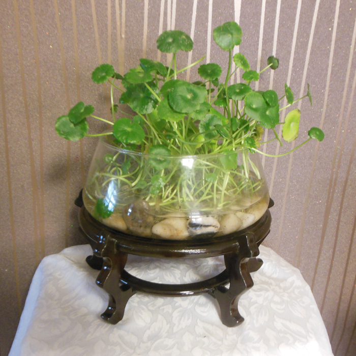仿古仿木花架鱼缸酒坛底座工艺架盆景花架花几花盆底座矮脚花座凳在类目 住宅家具, 架类, 花架/花几中 - 来自Buy2taobao.com提供专业的淘宝代购服务