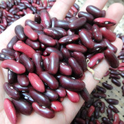 云南农家自种五谷杂粮红芸豆红腰豆大豆红豆500克干货一斤