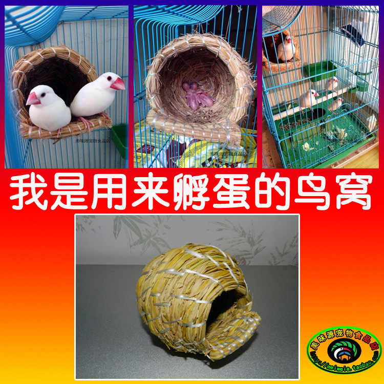 七彩文鳥鳥窩珍珠鳥窩十姐妹手工編制草窩繡眼鳥巢虎皮鹦鹉鳥窩在類目 寵物/寵物食品及用品, 鳥類及用品, 鳥用具(新), 其他中 - 來自Buy2taobao.com提供專業的淘寶代購服務