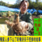 上下架计划:长白山人参之乡带土新鲜人参 野山参煲汤泡酒6年根一斤包邮送一支