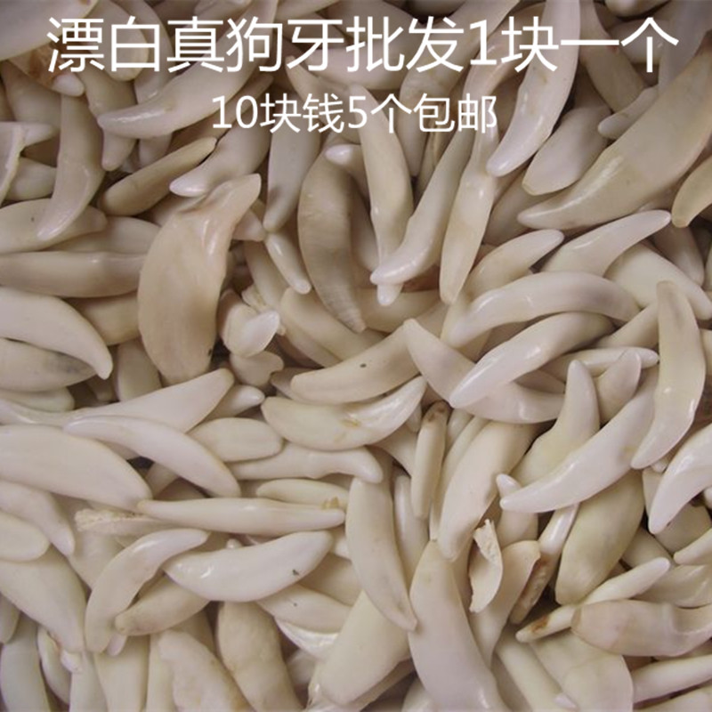 真狗牙吊坠藏獒牙狼牙项链黑狗牙辟邪 男女齿压惊 漂白可打免费孔在类目 饰品/流行首饰/时尚饰品新, 项坠/吊坠中 - 来自Buy2taobao.com提供专业的淘宝代购服务