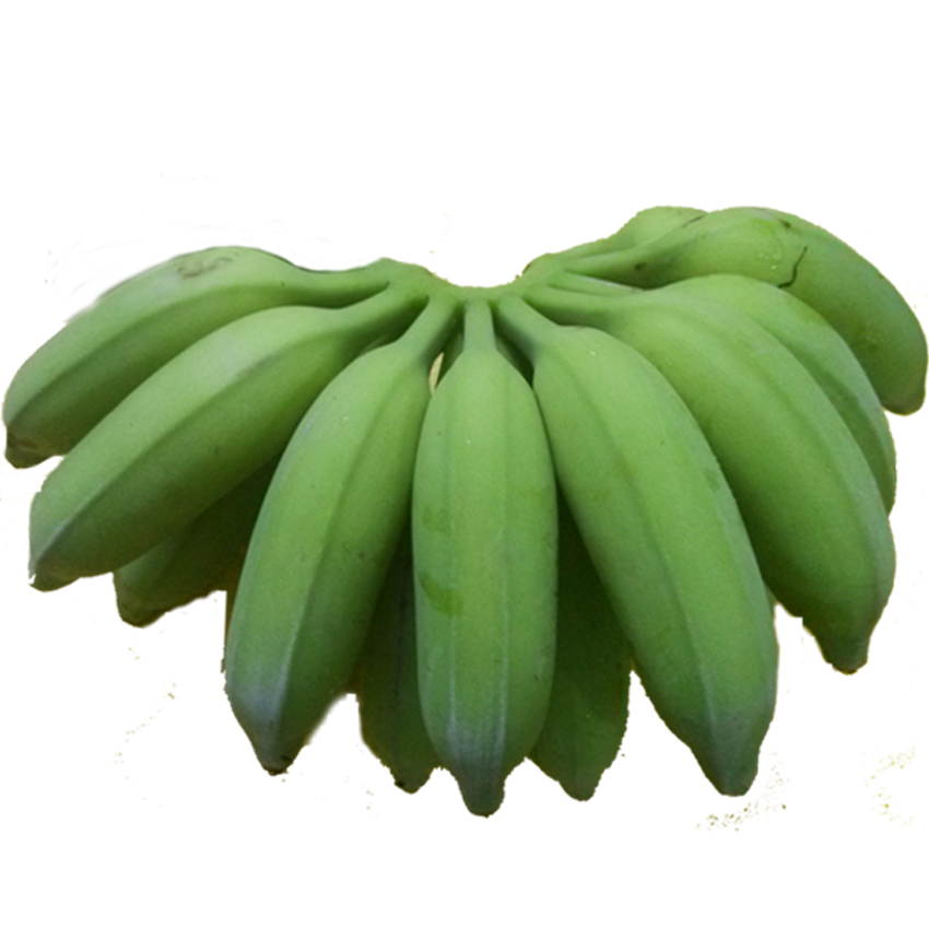 广东高州新鲜香蕉水果无催熟剂米蕉粉蕉糯米蕉非海南皇帝蕉 4.5斤在类目 水产肉类/新鲜蔬果/熟食, 新鲜水果, 其它中 - 来自Buy2taobao.com提供专业的淘宝代购服务