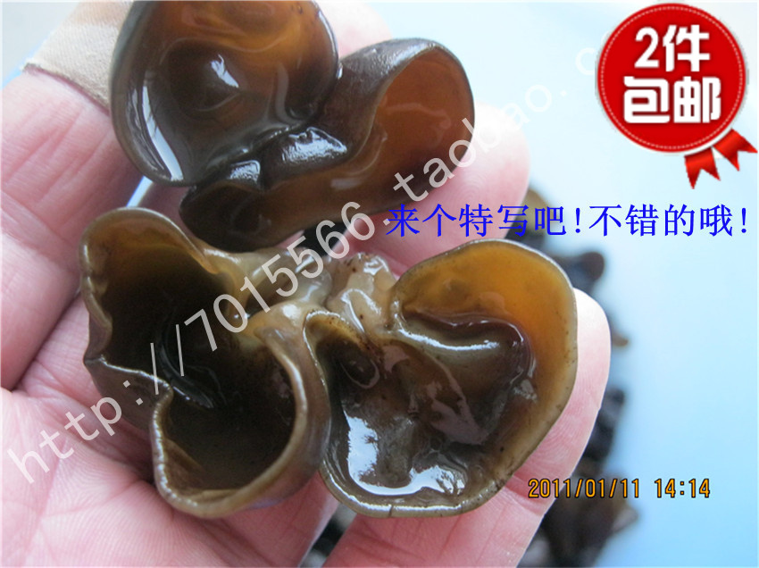 东至特产 皖南山珍 秋耳 椴木黑木耳 木耳江浙沪皖一斤包邮|msdalam kategori beras/Utara-Selatan barangan kering/perasa, Utara-Selatan barangan kering/daging Kering, kering/Native, cendawan hitam - dari Buy2taobao.com untuk memberikan perkhidmatan ejen Taobao profesional membeli
