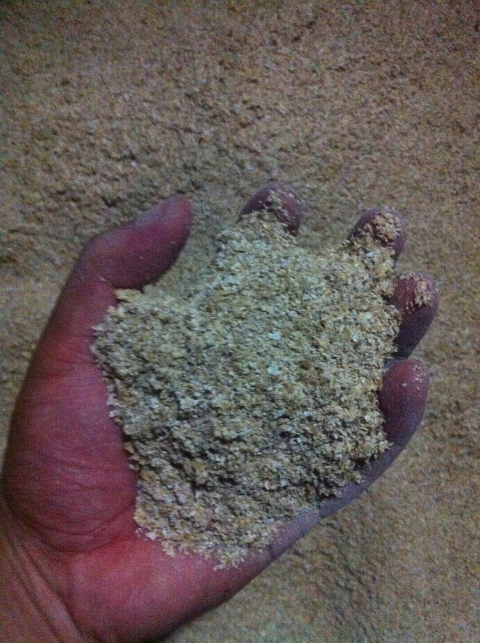 麦麸 麸皮 跳楼价(养殖专用) 500g 单拍麦麸不发货 不用加邮费在类目 宠物/宠物食品及用品, 爬虫/鸣虫及其用品, 爬虫/鸣虫食物中 - 来自Buy2taobao.com提供专业的淘宝代购服务