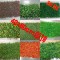 上下架计划:仿真草坪塑料草坪 勿忘我珍珠草红枫叶珊瑚草杂草 装饰草坪草墙