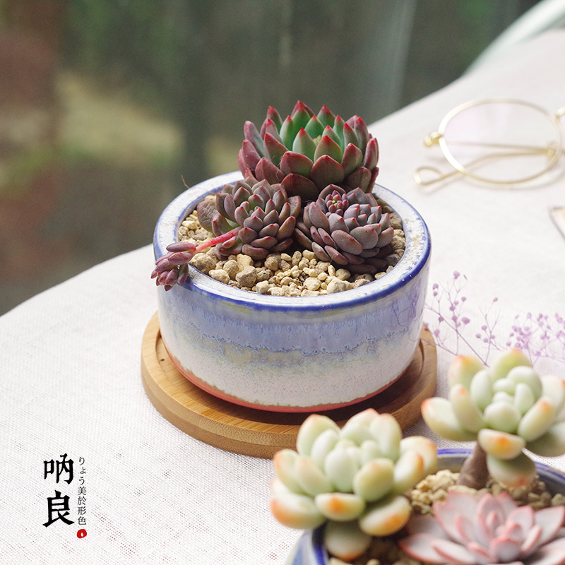 Same Succulent plants Flower pot Kiln transformation Flower pot originality ceramics Succulent plants Flower potin the Flower delivery/Flowers simulation/Plants gardening , Vase/Flower/Flowerpot/Flower (New) , Flowerpot category - from Buy2taobao.com to provide professional Taobao agent buy service