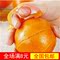 上下架计划:义乌小商品批发创意日式小老鼠开橙器/剥橙器 满包邮家庭小用品