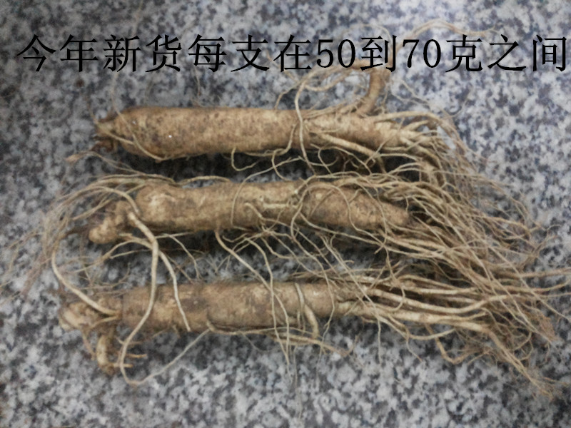 东北长白山新鲜人参园子参刚出土鲜参保鲜人参泡酒料人参在类目 传统滋补营养品, 参类滋补品, 人参/园参中 - 来自Buy2taobao.com提供专业的淘宝代购服务