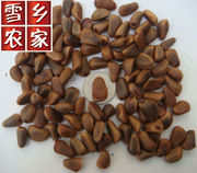 新鲜生松籽野生松籽，松树籽松子手工挑大颗粒，不开口松籽500g