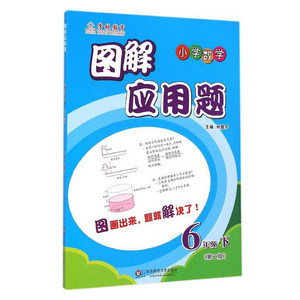 包邮 图解应用题 小学数学 六年级下册 第2版 林