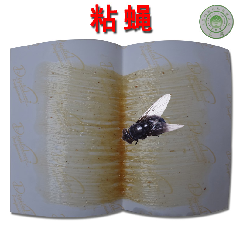强力粘蝇纸/苍蝇粘胶/高效捕蝇纸灭蝇佳环保无害无毒家用商用特价在类目 居家日用, 驱虫用品, 粘蝇纸中 - 来自Buy2taobao.com提供专业的淘宝代购服务