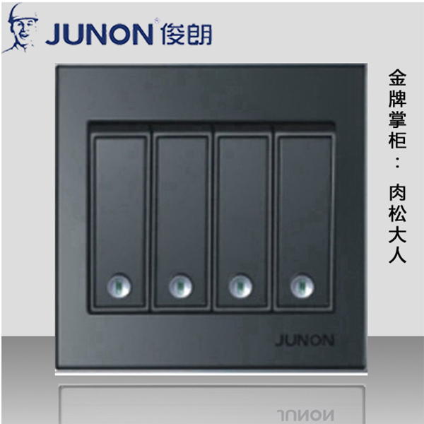 俊朗開關插座正品/PJ帶熒光四位/四聯雙控開關黑鏡鋼P系列 鏡面在類目 電子/電工, 開關, 雙控開關中 - 來自Buy2taobao.com提供專業的淘寶代購服務