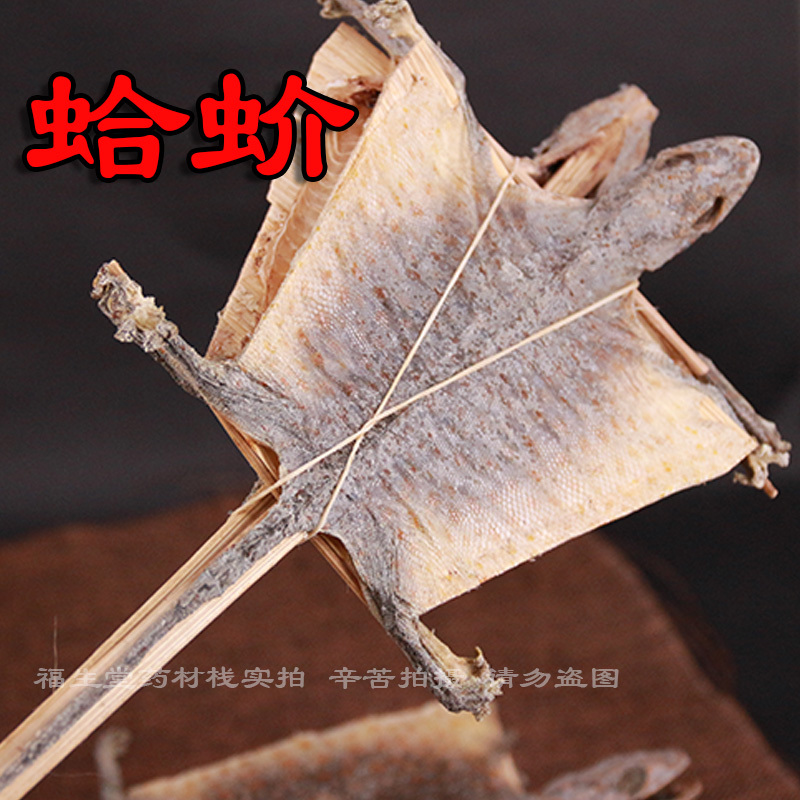 蛤蚧 壹對裝 大壁虎 大蛤蚧 哈蚧 12厘米寬 超值價在類目 傳統滋補營養品, 其他傳統滋補品, 傳統滋補品其他中 - 來自Buy2taobao.com提供專業的淘寶代購服務