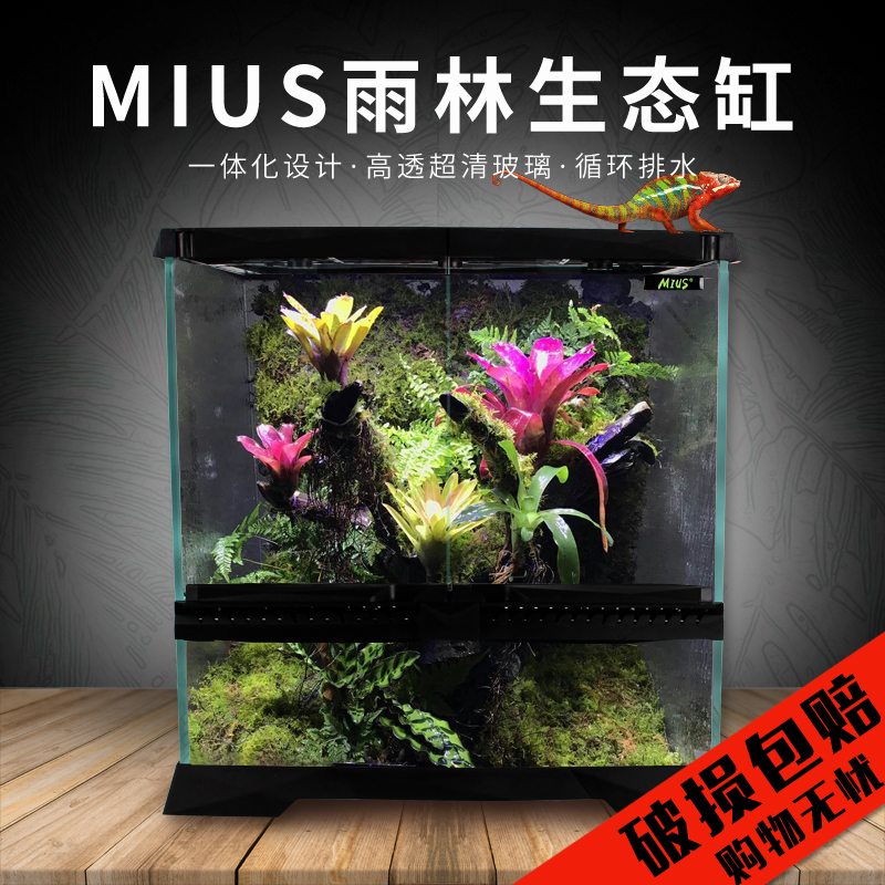 MIUS妙思雨林缸造景生態缸熱帶植物樹蛙變色龍造景雨林箱水陸缸在類目 寵物/寵物食品及用品, 水族世界, 魚缸等水族設備, 生態瓶/創意缸/桌面微景缸中 - 來自Buy2taobao.com提供專業的淘寶代購服務
