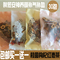 上下架计划:桂圆红枣枸杞茶红枣干桂圆肉茶养肝补血养气养颜养生茶30包包邮