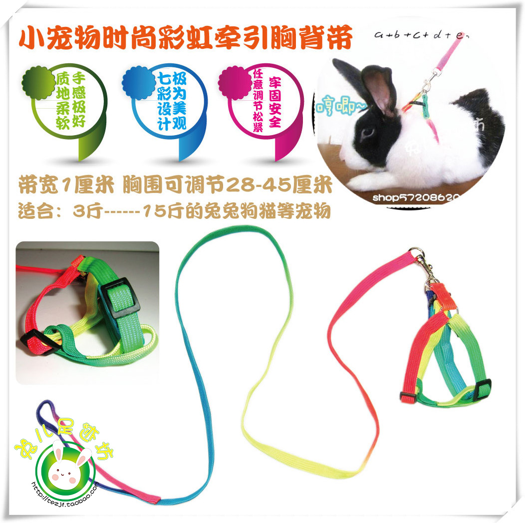 彩虹垂耳兔链子牵兔绳 溜兔子防咬兔兔牵引绳子 牵遛宠物兔链用品在类目 宠物/宠物食品及用品, 兔类及其用品, 兔绳中 - 来自Buy2taobao.com提供专业的淘宝代购服务
