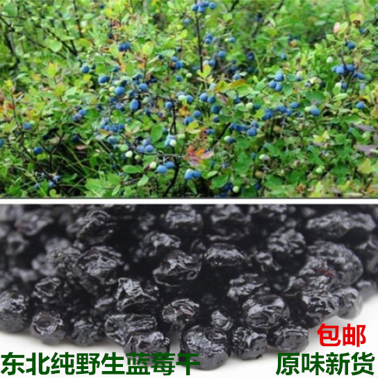 蓝莓干野生无添加伊春特产蓝莓果干黑龙江蓝梅原味护眼500g小包装在类目 零食/坚果/特产, 蜜饯/枣类/梅/果干, 蓝莓中 - 来自Buy2taobao.com提供专业的淘宝代购服务