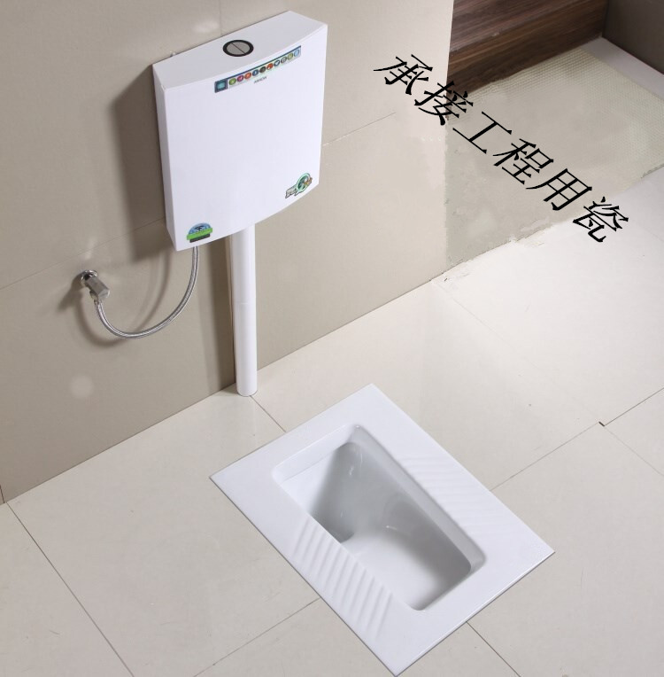 智野正品 全套配齐防臭防堵蹲便器蹲厕 彩色节能水箱整套大便器在类目 家装主材, 卫浴用品, 蹲便器中 - 来自Buy2taobao.com提供专业的淘宝代购服务