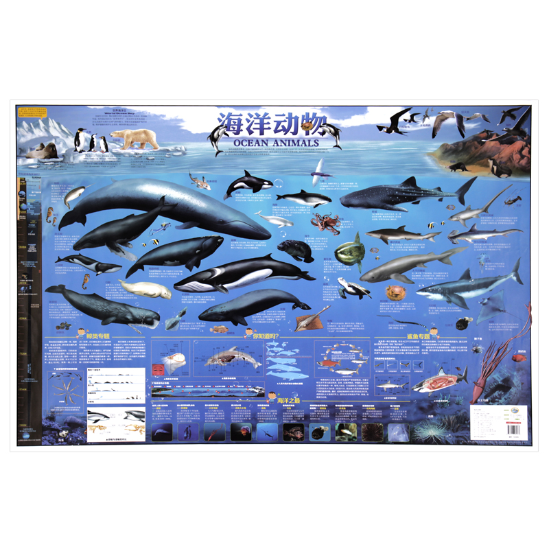 Children's Room Poster Ocean animal Map children initiation Brainpower development children Maps Ocean knowledge children Map Small map Great Wisdom Genuine waterproof Wall stickers Puzzle knowledge Mapin the Books/Magazine/Newspaper , Children's books/Supplementary , Other children's books category - from Buy2taobao.com to provide professional Taobao agent buy service