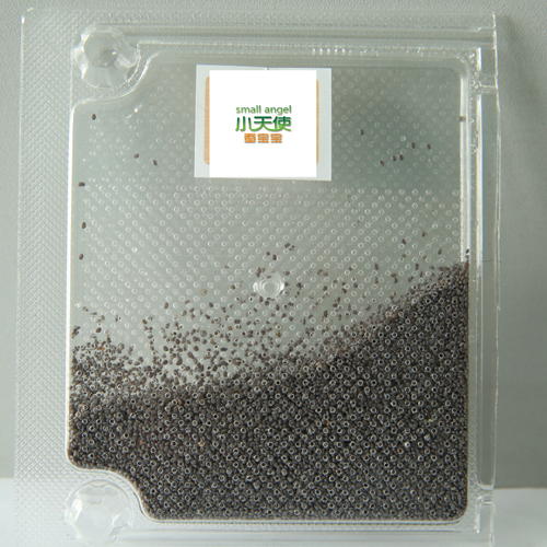 今年夏蠶種蠶卵蠶子白蠶白繭蠶寶寶卵好養高産新到抗膿品種在類目 寵物/寵物食品及用品, 爬蟲/鳴蟲及其用品, 蠶寶寶中 - 來自Buy2taobao.com提供專業的淘寶代購服務