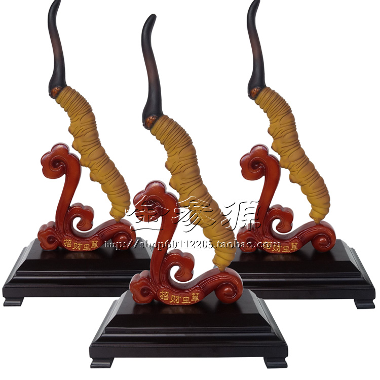 招财虫草模型 仿真冬虫夏草模型,大型仿真虫草模型 36cm长|msdalam kategori peralatan pejabat/Supplies/Perkhidmatan yang berkaitan, Packaging Equipment/Tanda-tanda dan bekalan, kotak hadiah - dari Buy2taobao.com untuk memberikan perkhidmatan ejen Taobao profesional membeli