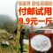 上下架计划:土家汉！张家界葛根粉野生包邮【非葛根片】正品葛粉无需青木瓜粉