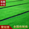 上下架计划:仿真地毯草坪/幼儿园装饰草坪/假草坪/人工草坪人造草皮批发包邮