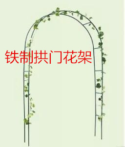 厂家直销园艺用品简易铁制拱门爬藤架婚庆专用花架花支架在类目 鲜花速递/花卉仿真/绿植园艺, 婚礼鲜花布置, 鲜花拱门中 - 来自Buy2taobao.com提供专业的淘宝代购服务