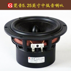 专业高端15寸低音喇叭220磁100芯800W舞台