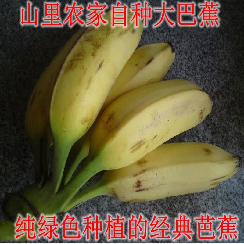 廣西大容山大蕉芭蕉批發芭蕉自種産地直銷全國20省包郵7斤/箱在類目 水產肉類/新鮮蔬果/熟食, 新鮮水果, 香蕉中 - 來自Buy2taobao.com提供專業的淘寶代購服務