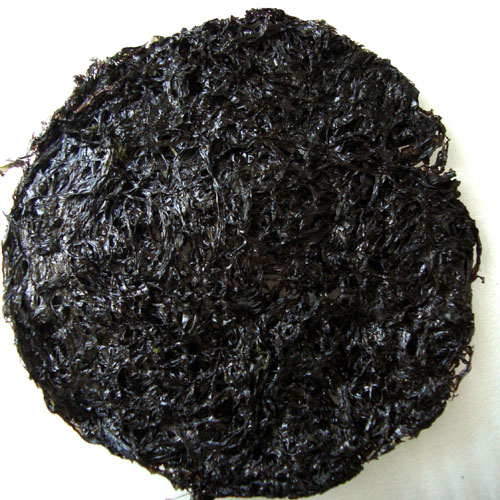 Hainan Super Laver Water Boutique No sand Disposable 100g ,Good quality and tastein the Aquatic meat/Fresh fruits and vegetables/Cooked , Seafood/Aquatic/Product , Alga , Seaweed category - from Buy2taobao.com to provide professional Taobao agent buy service