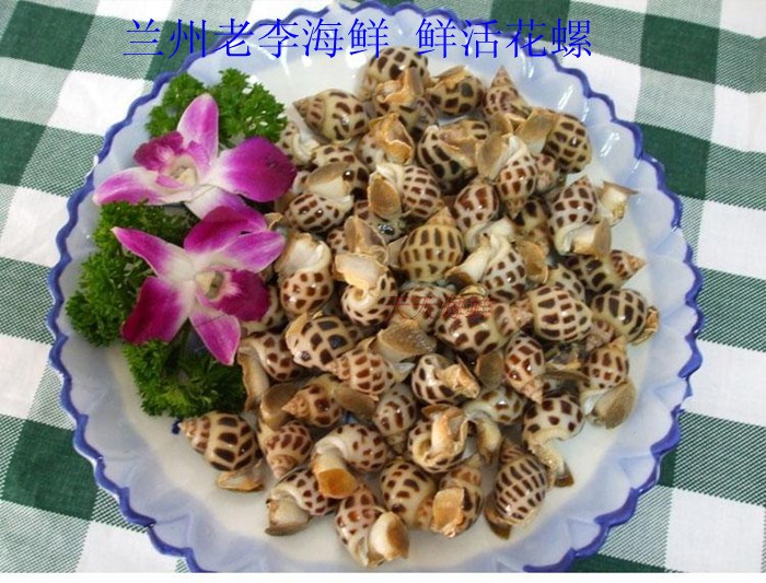 蘭州老李海鮮 鮮活花螺 東風螺在類目 水產肉類/新鮮蔬果/熟食, 海鮮/水產品/製品, 貝類, 貝類製品中 - 來自Buy2taobao.com提供專業的淘寶代購服務