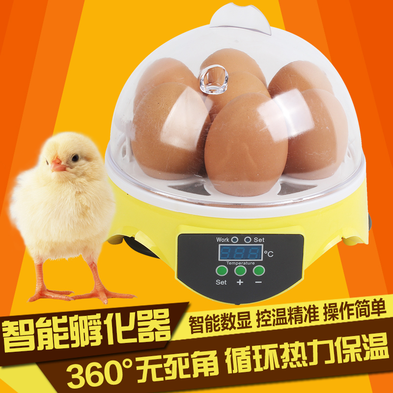 全自动小型孵化器孵化箱智能温控i孵蛋器自动翻蛋孵鸡鸭蛋工具在类目 五金/工具, 仪器仪表, 电热工具中 - 来自Buy2taobao.com提供专业的淘宝代购服务