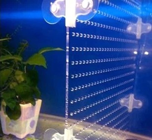 鱼缸隔板分离板 透明 隔离板亚克力板定做水族鱼缸隔板过滤板在类目 宠物/宠物食品及用品, 水族世界, 鱼缸等水族设备, 其它水族用具设备中 - 来自Buy2taobao.com提供专业的淘宝代购服务