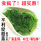 上下架计划:森茂牌正品平利富硒绞股蓝五叶特级龙须茶250克装 新茶甘味包邮！