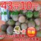 上下架计划:新鲜 百香果 果汁店 小果 西番莲 鸡蛋果 10斤包邮