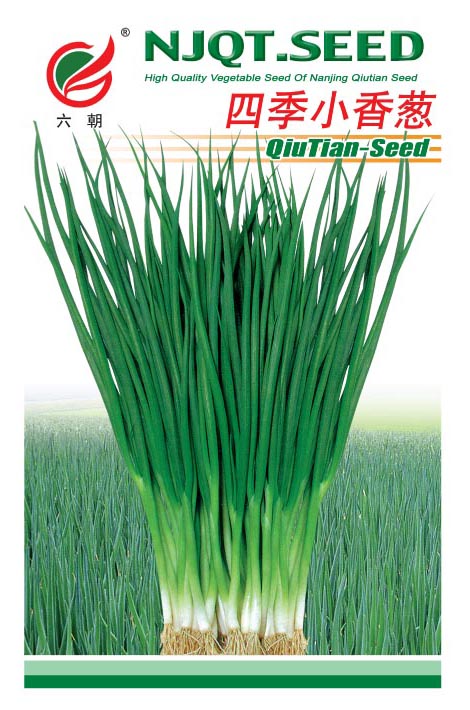 Four seasons Small shallot seed Shallot seed family plant balcony Potted plant Ota plant Original 10 gramin the Agricultural goods , Seed/Seedlings , Vegetable Seeds category - from Buy2taobao.com to provide professional Taobao agent buy service