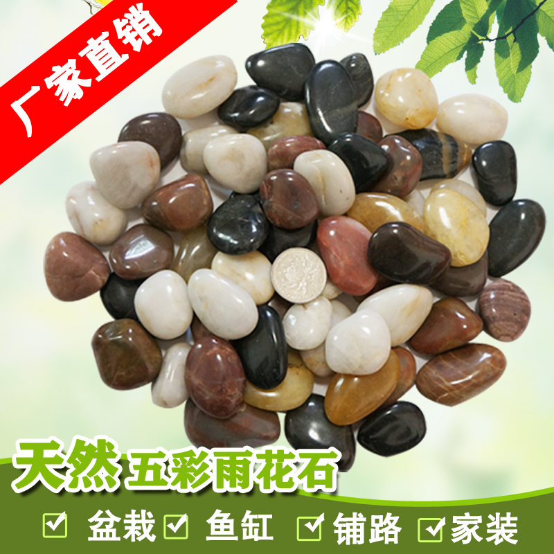 天然五彩石花卉雨花石鹅卵石小石子色石头鱼缸底原石园艺用品在类目 鲜花速递/花卉仿真/绿植园艺, 园艺用品, 其它园艺用品中 - 来自Buy2taobao.com提供专业的淘宝代购服务