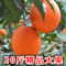 上下架计划:赣南脐橙江西寻乌甜橙子新鲜孕妇水果 9省包邮20斤精品果
