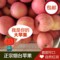 上下架计划:80#得丽果品红富士，山东烟台栖霞新鲜摘水果脆甜苹果5斤全国包邮