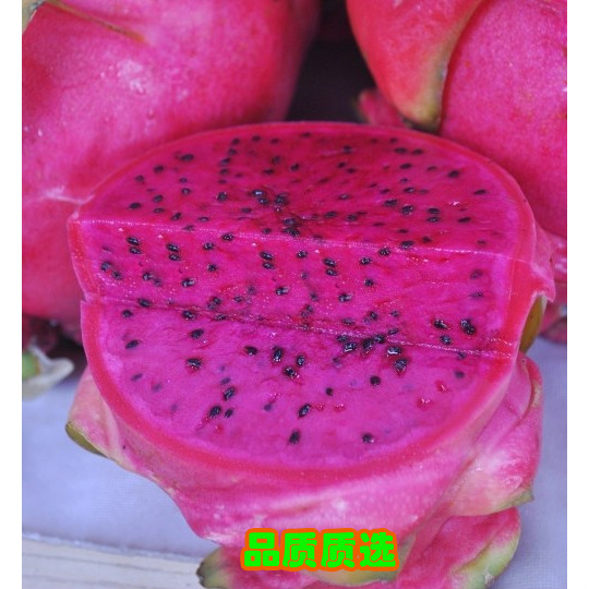 红心火龙果1斤进口红肉火龙果深圳同城新鲜水果配送关内2-3小送达|msdalam kategori daging perikanan/Buah-buahan segar dan sayur-sayuran/dimasak, buah-buahan segar, lain - dari Buy2taobao.com untuk memberikan perkhidmatan ejen Taobao profesional membeli